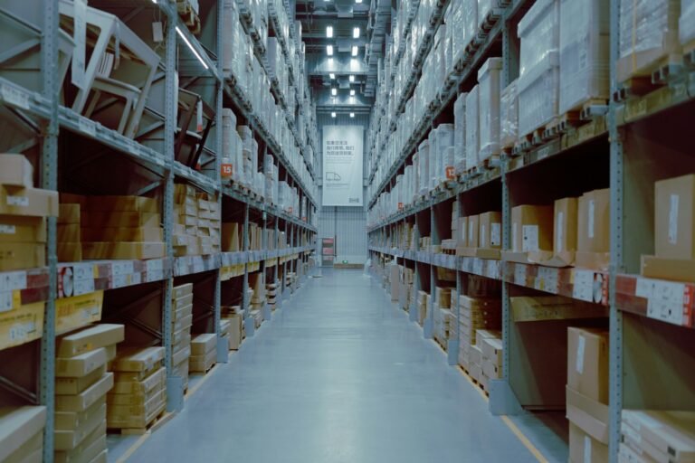 Lagerbeschilderung im Onlinehandel: Wie klare Kennzeichnung Pickfehler, Suchzeiten und Retourenchaos reduziert Lagerbeschilderung – Regalgang in einem Versandlager